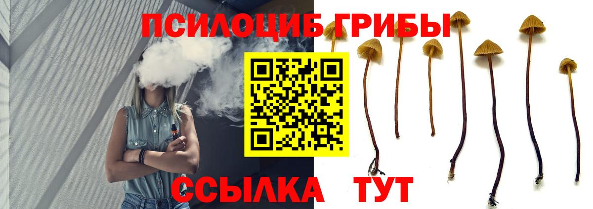 Баксан  Галлюциногенные грибы мухоморы  Галлюциногенные грибы прущие грибы  Вход с VPN 